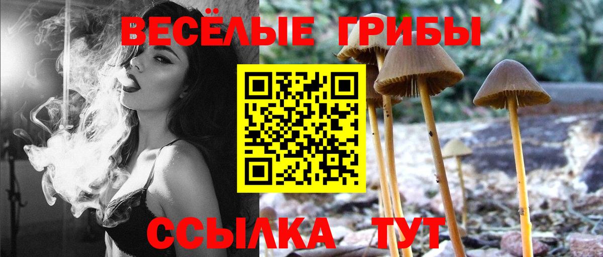 Псилоцибиновые грибы ЛСД Алапаевск
