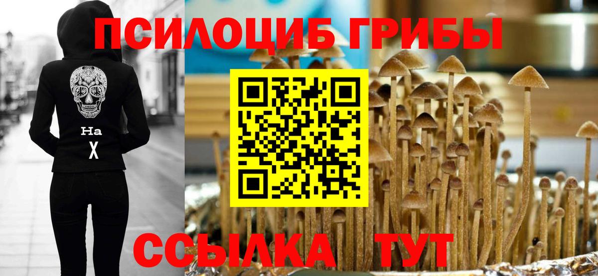 Галлюциногенные грибы мухоморы  Вход с VPN  Алапаевск 